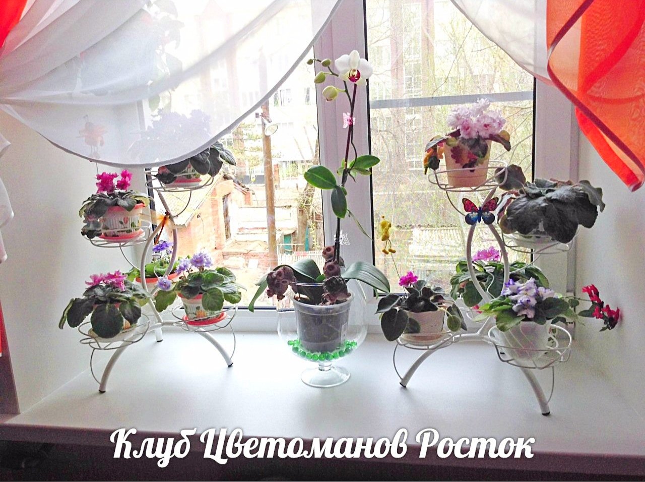 Подставка для цветов металлическая наоконная. Фото N8