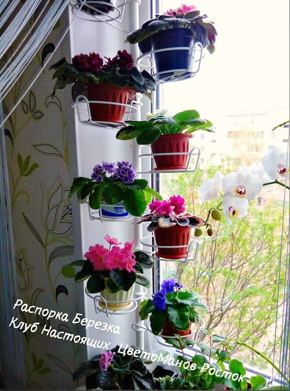 распорка металлическая для растений на окно. Фото N3