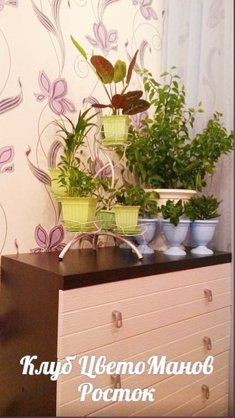 Подставка для цветов металлическая наоконная. Фото N10