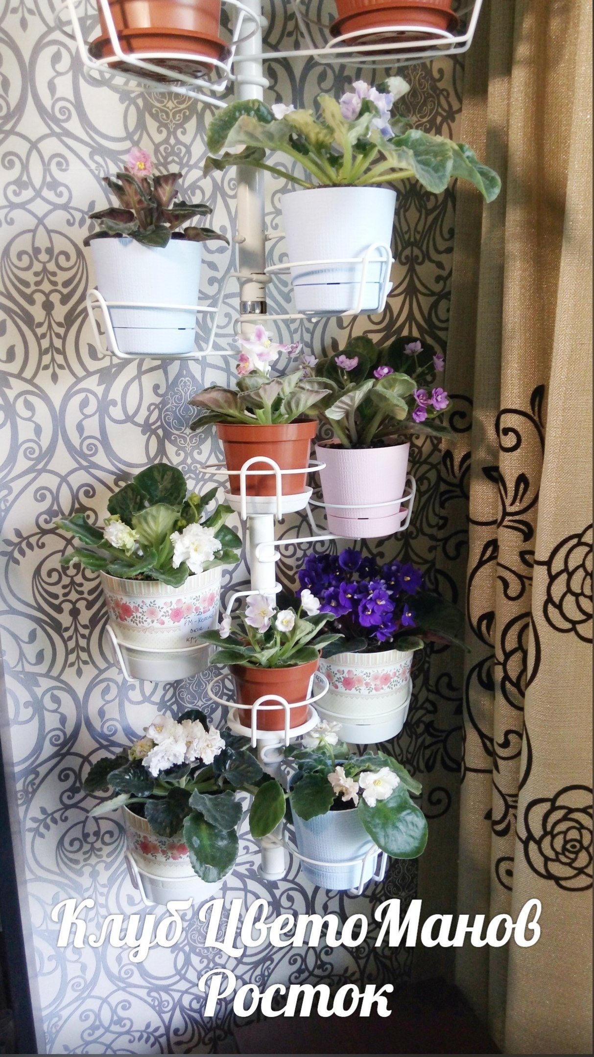 подставка металлическая для цветов на стену. Фото N24