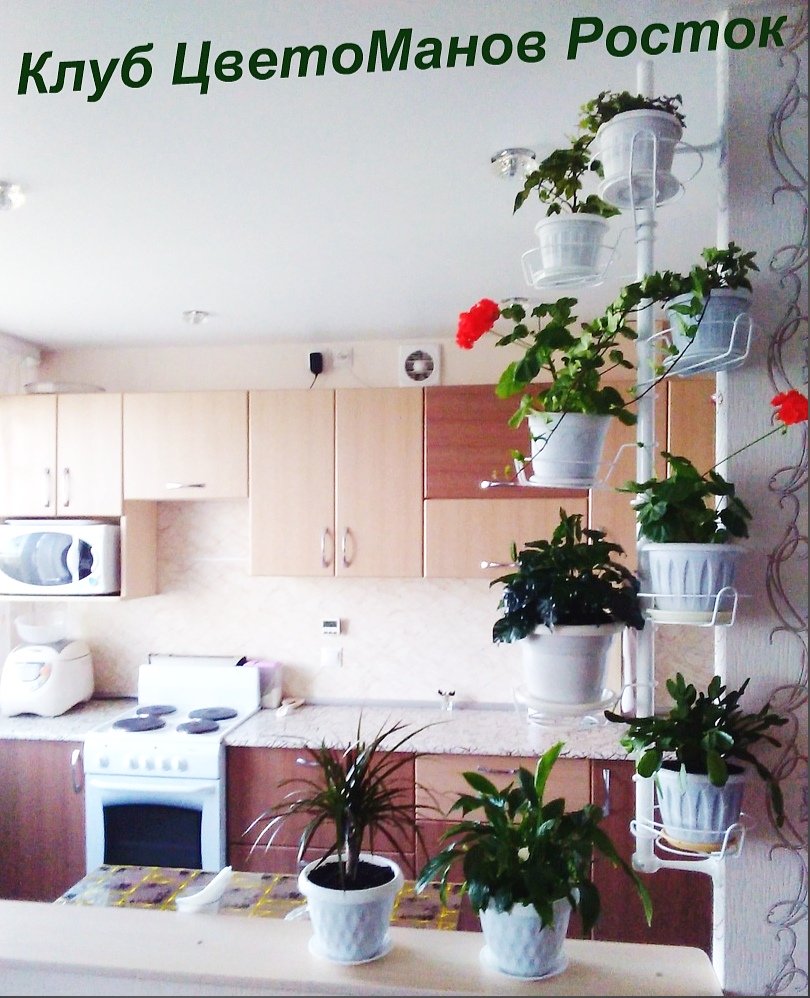 подставка металлическая для цветов на стену. Фото N5